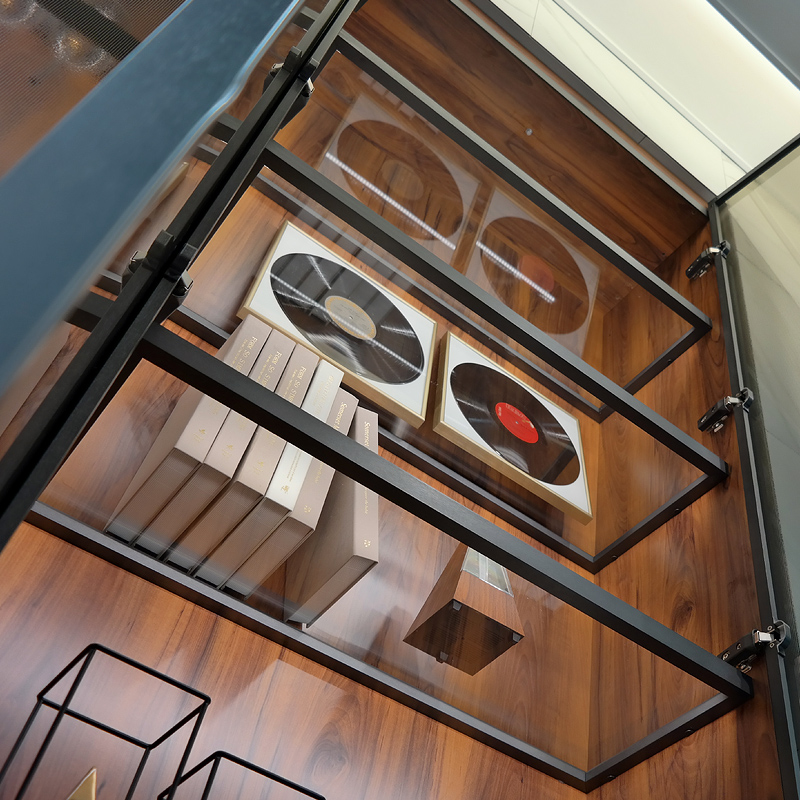 ºñü Àü½ÃÈ¿°ú